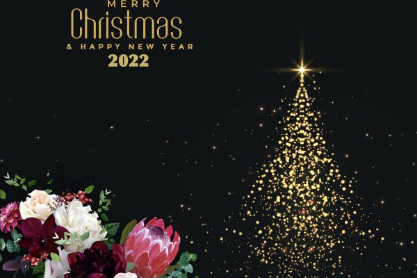 Christama & New Year-2022.1