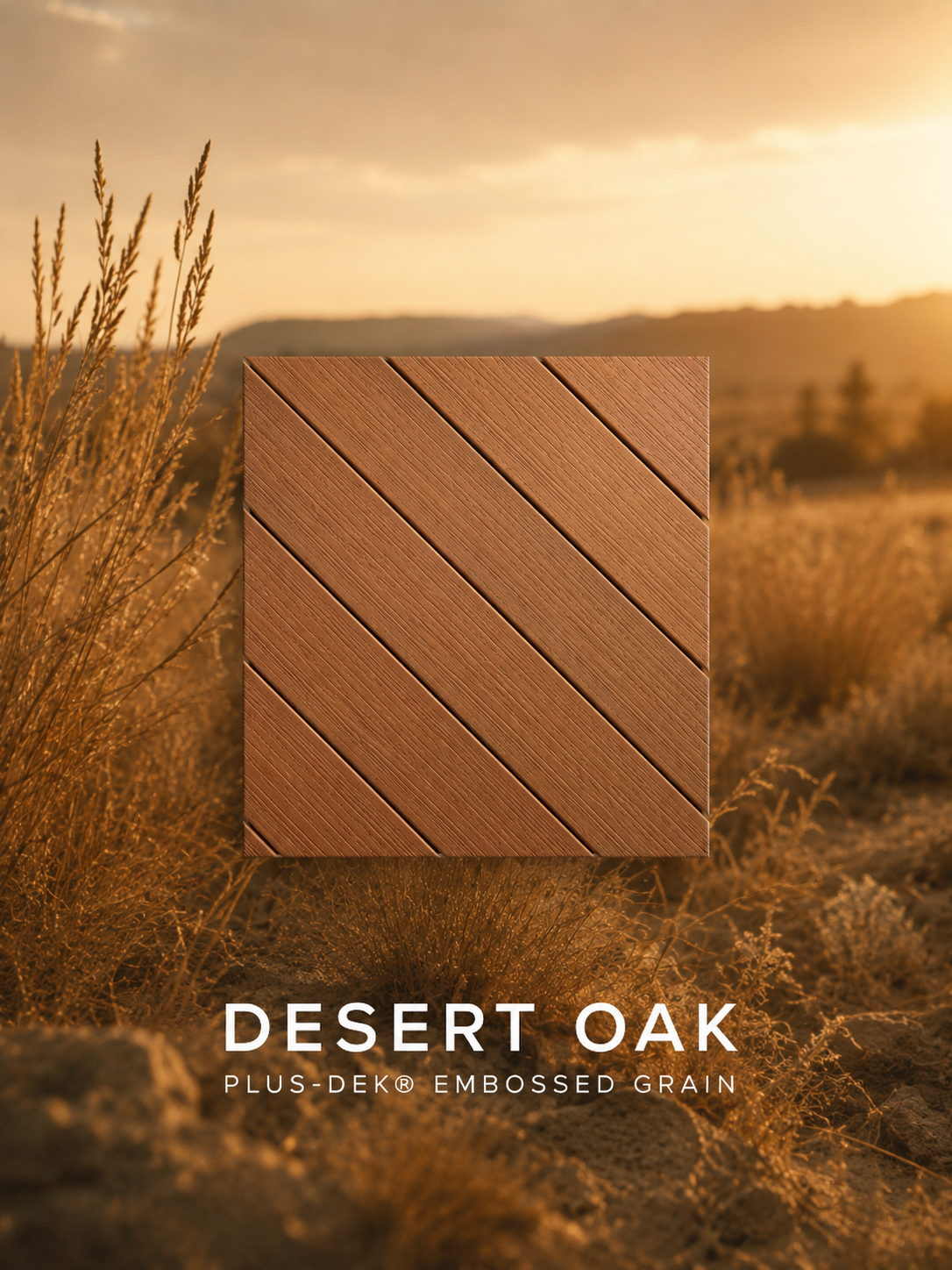 3 desert oak