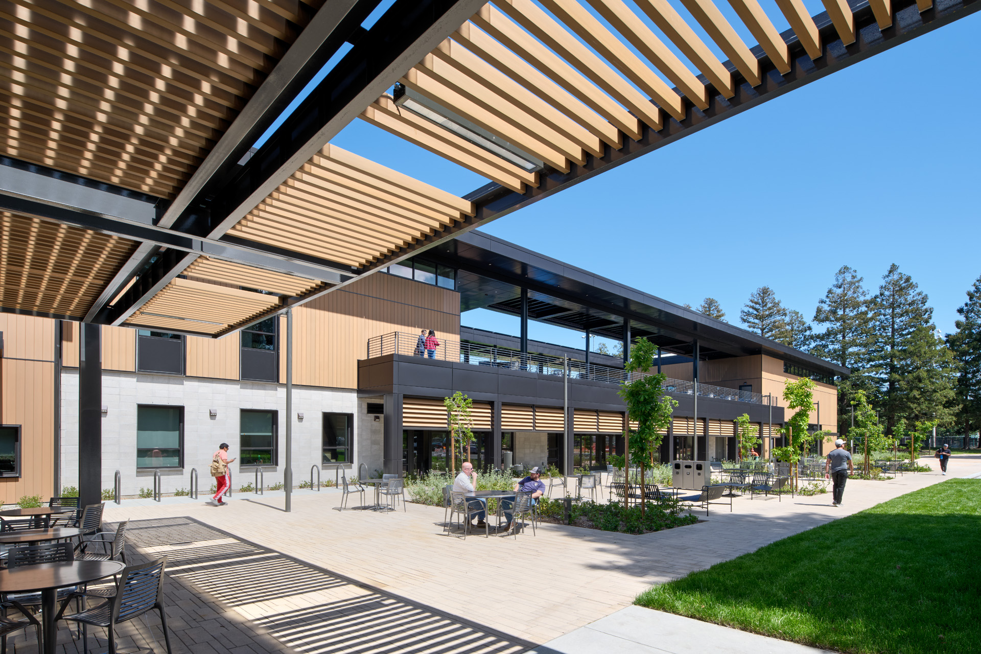 Pergola Screening System — overhead timber battens