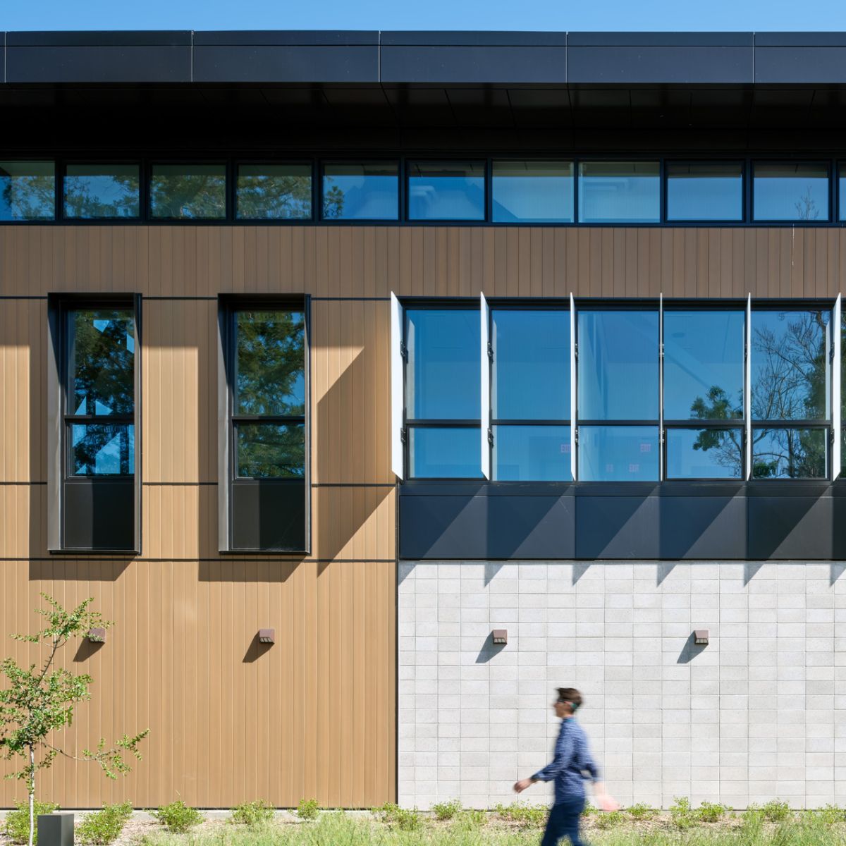 Timber cladding facade detail with windows