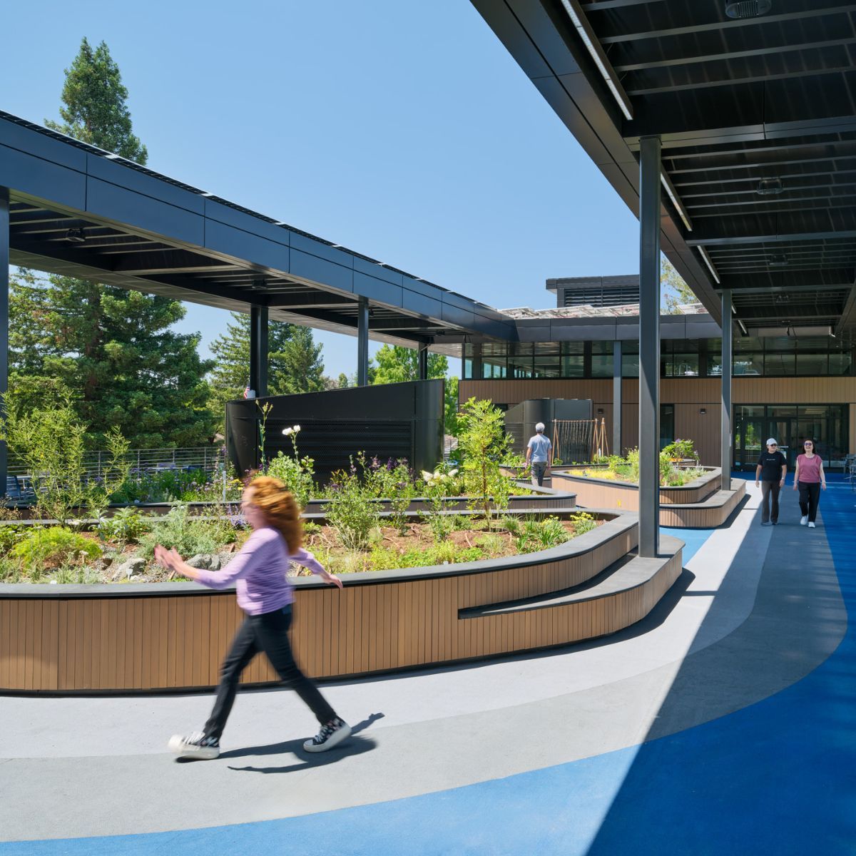 Garden walkway with timber planters and pergola screening